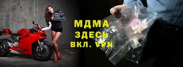 гашик Алексин