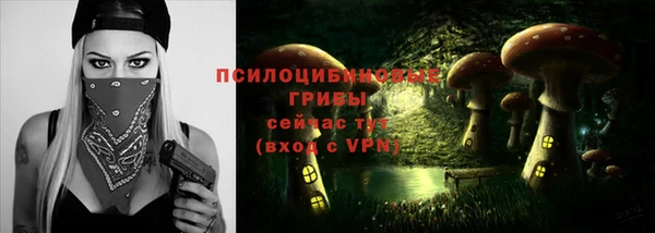 a pvp Алзамай