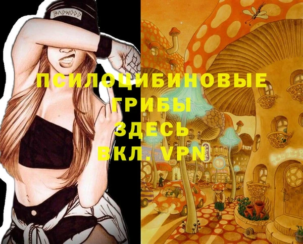 a pvp Алзамай