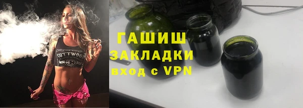 гашик Алексин