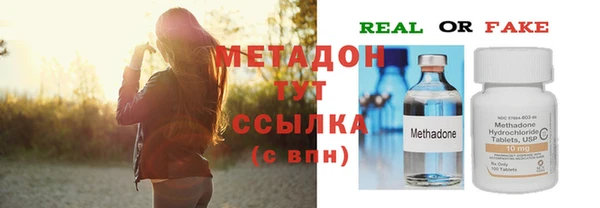 гашик Алексин