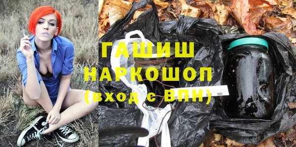 гашик Алексин