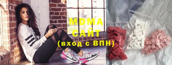 гашик Алексин
