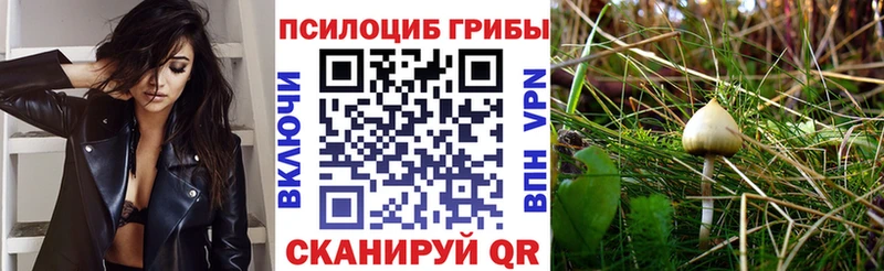 наркошоп  Сатка  Галлюциногенные грибы прущие грибы 